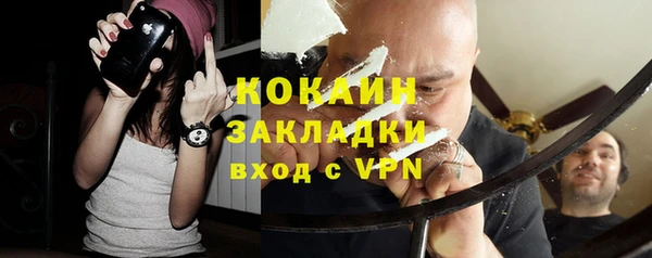 шишки Козельск