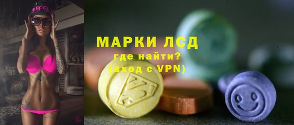 ECSTASY Пересвет