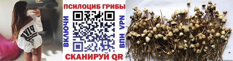 Галлюциногенные грибы GOLDEN TEACHER  KRAKEN зеркало  Кохма 
